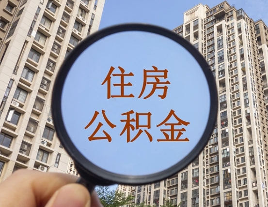 嘉兴退休后查不到公积金明细了吗（退休后公积金查询不到原因）